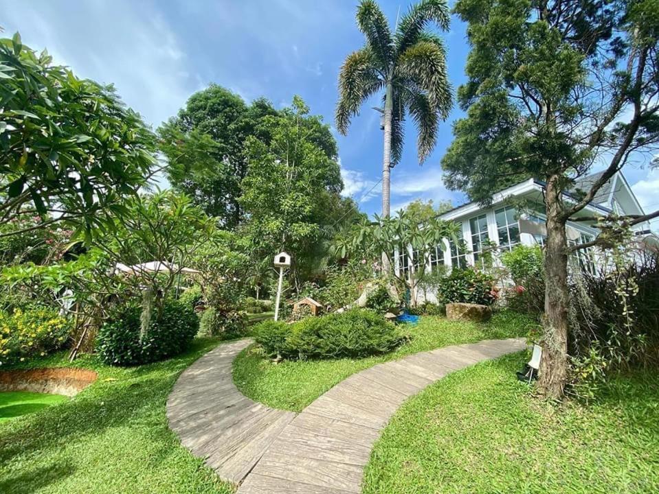 Baan Jaokorkluay บ้านเจ้ากอกล้วย Chiang Rai Extérieur photo