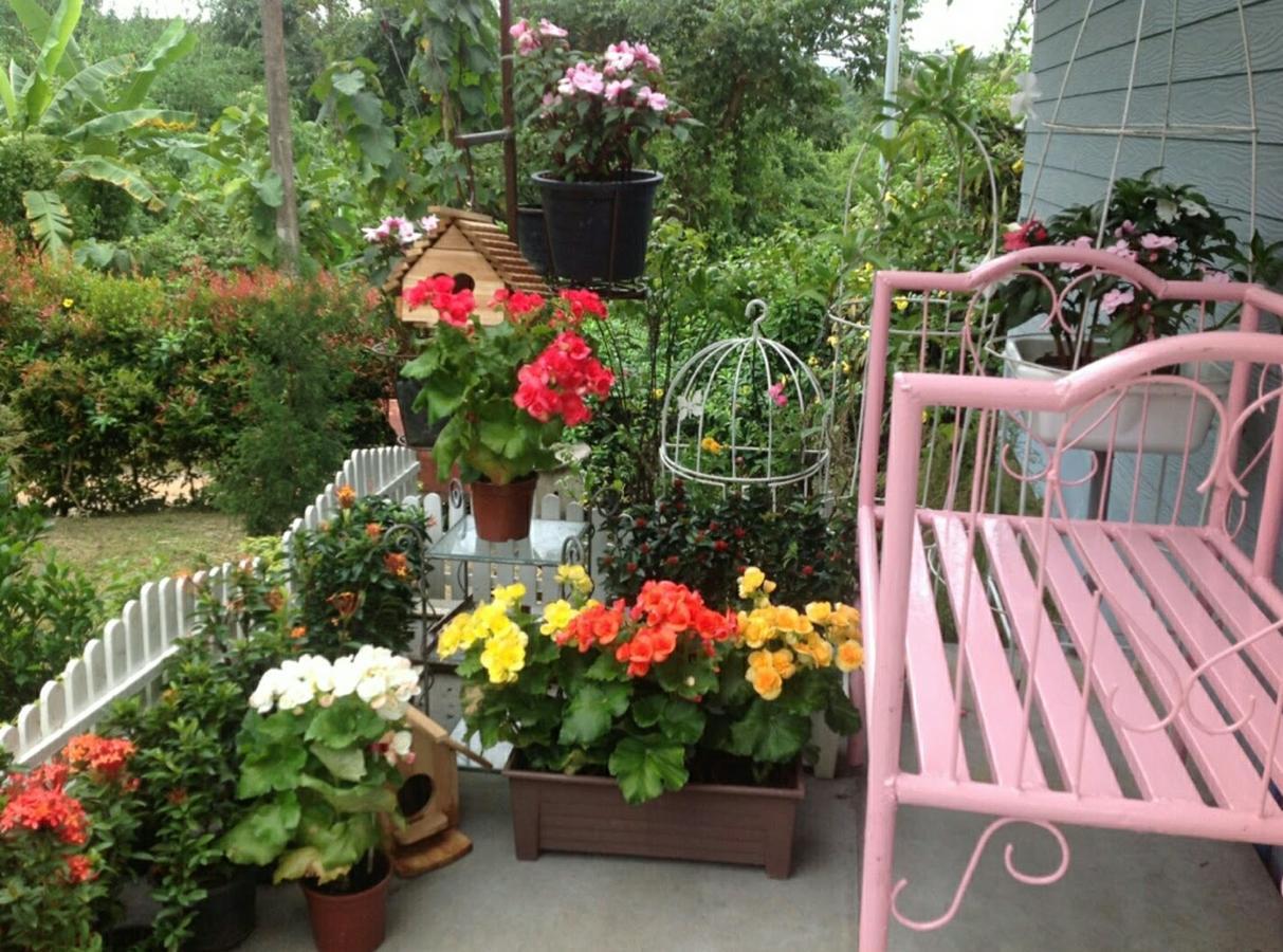Baan Jaokorkluay บ้านเจ้ากอกล้วย Chiang Rai Extérieur photo