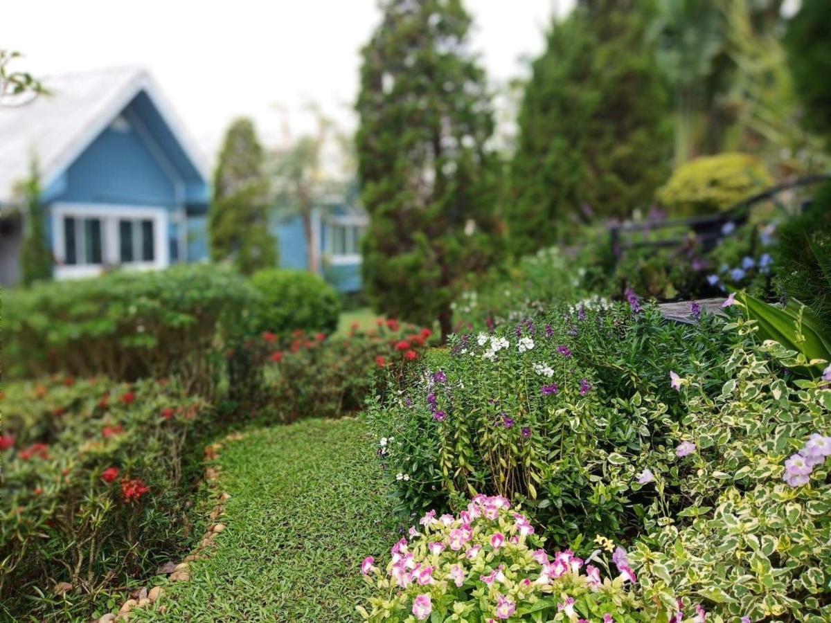 Baan Jaokorkluay บ้านเจ้ากอกล้วย Chiang Rai Extérieur photo